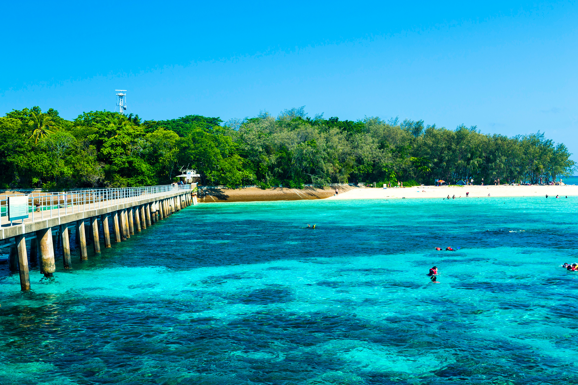 181 great barrier reef, queensland.webp